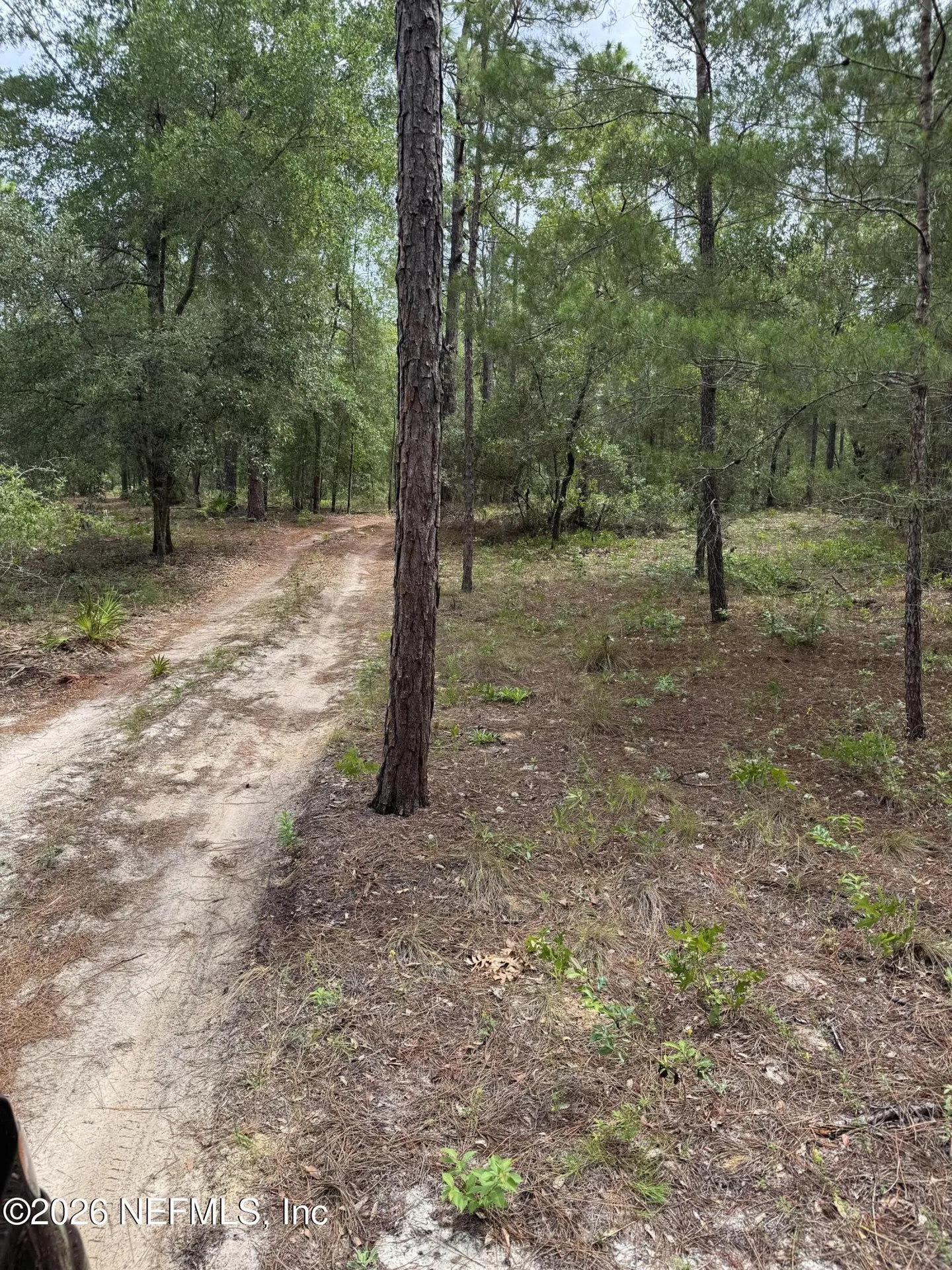 4477 M Lake Road Keystone Heights FL 32656