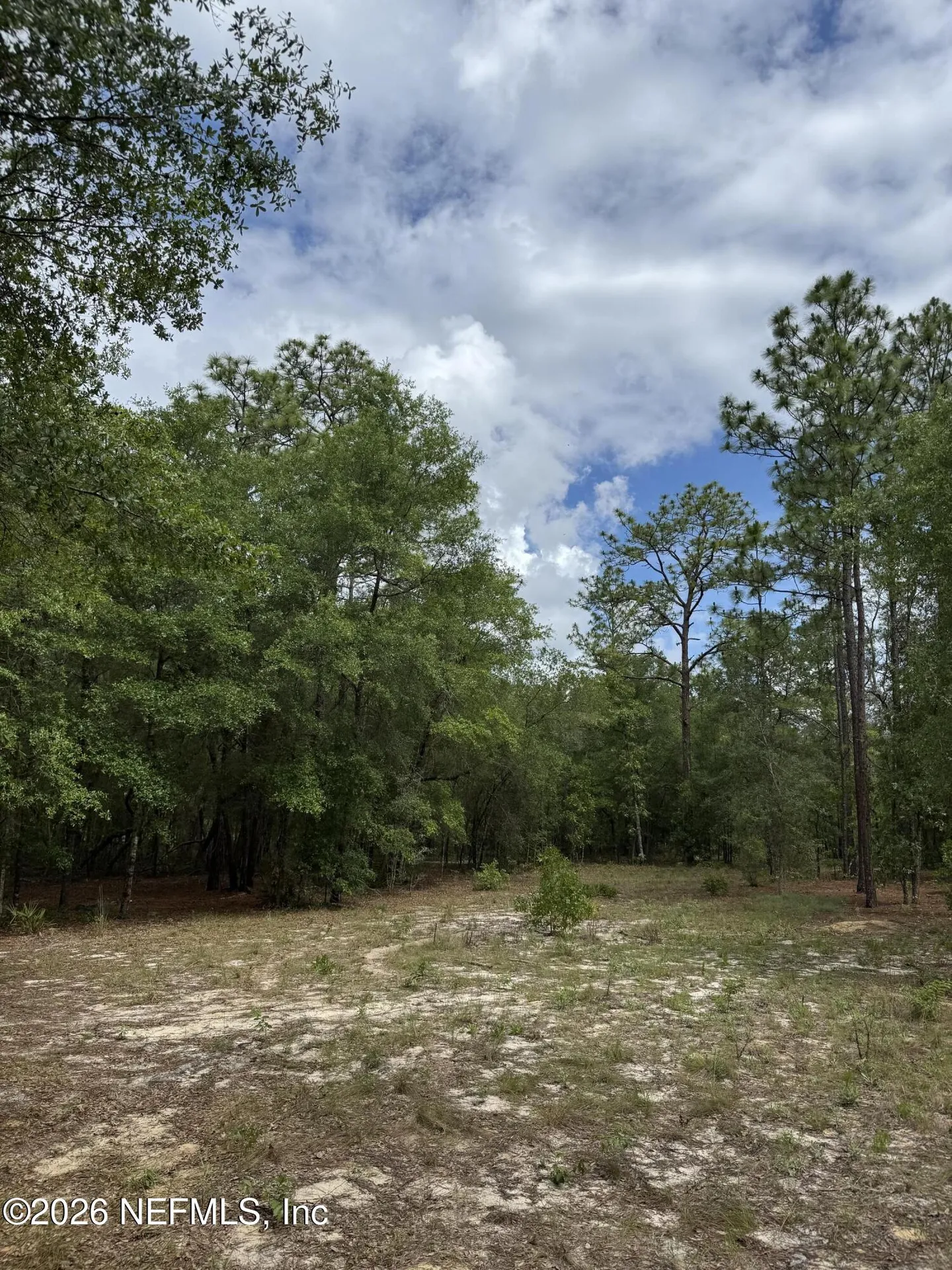 4477 M Lake Road Keystone Heights FL 32656