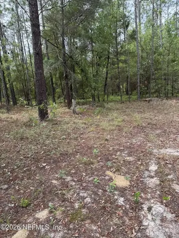 4477 M Lake Road Keystone Heights FL 32656