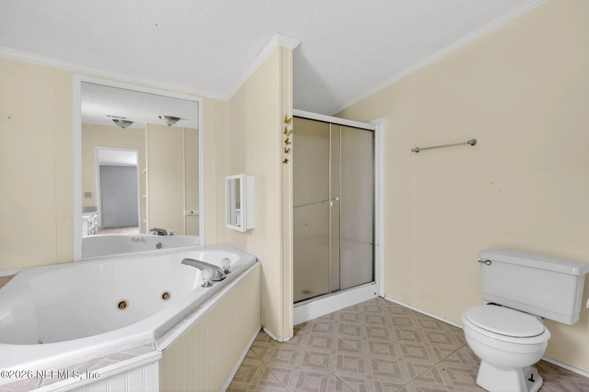 2455 Violet Way Middleburg FL 32068