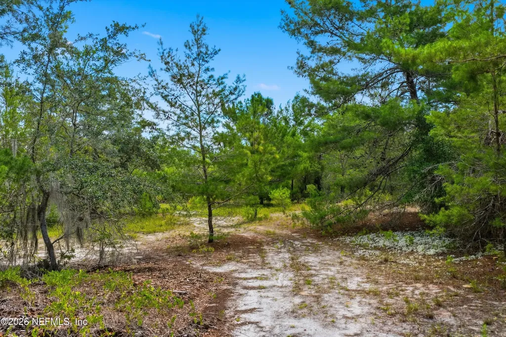 215 Calhoun Avenue Florahome FL 32140
