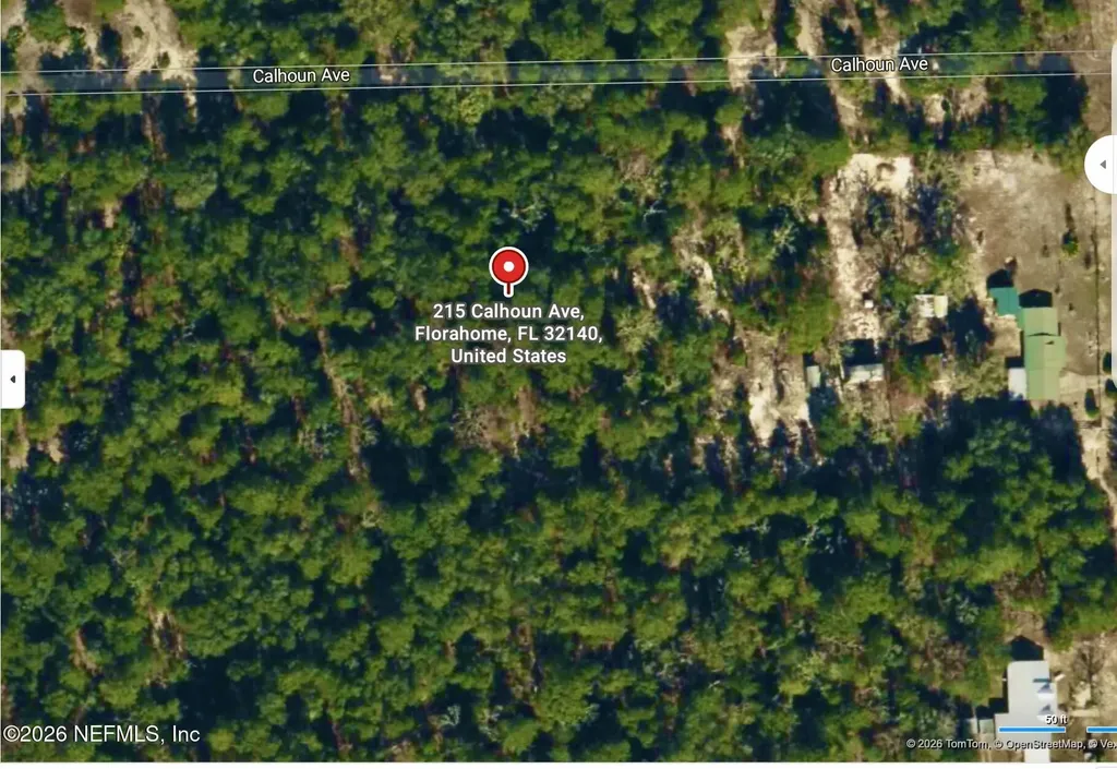 215 Calhoun Avenue Florahome FL 32140
