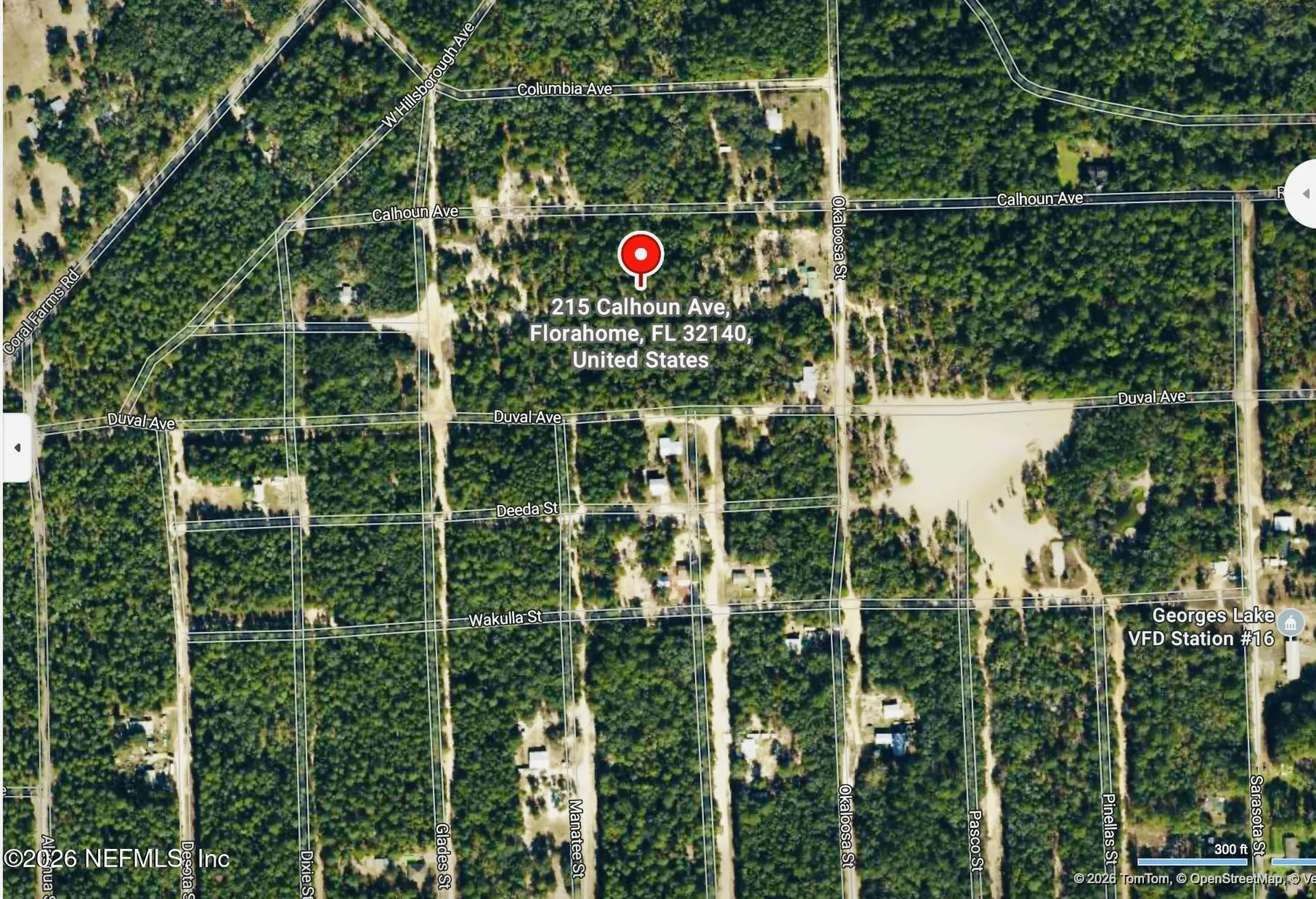 215 Calhoun Avenue Florahome FL 32140