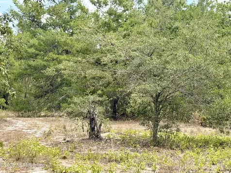 215 Calhoun Avenue Florahome FL 32140