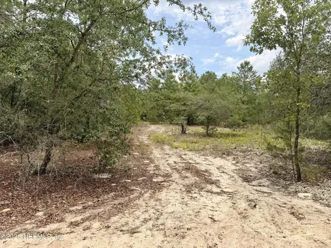 215 Calhoun Avenue Florahome FL 32140