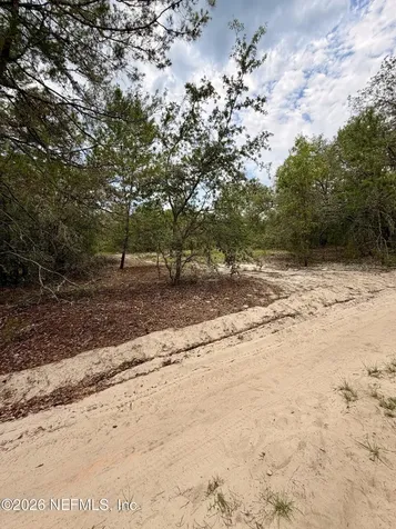 215 Calhoun Avenue Florahome FL 32140