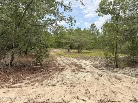 215 Calhoun Avenue Florahome FL 32140