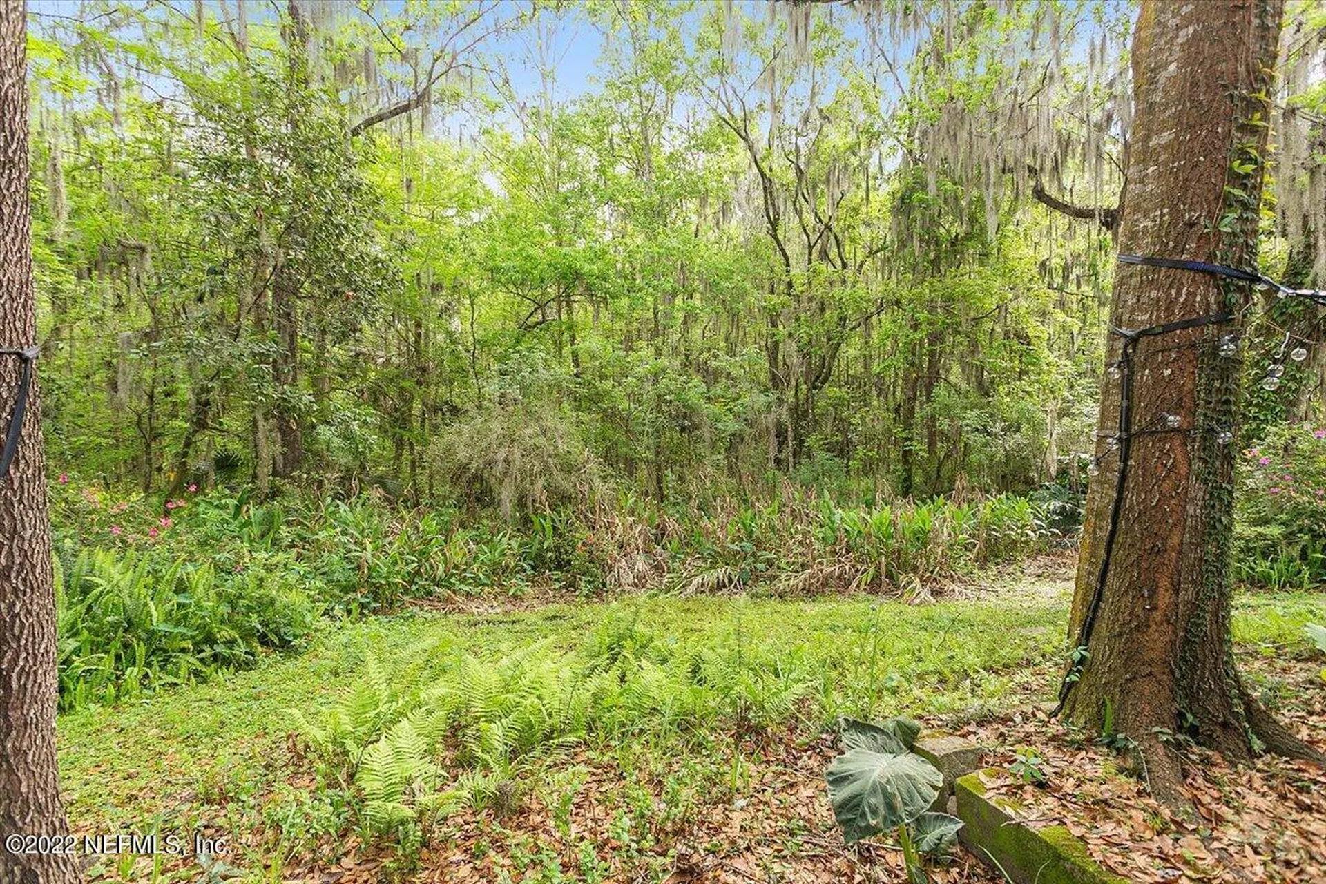 4527 Peachtree Circle E Jacksonville FL 32207