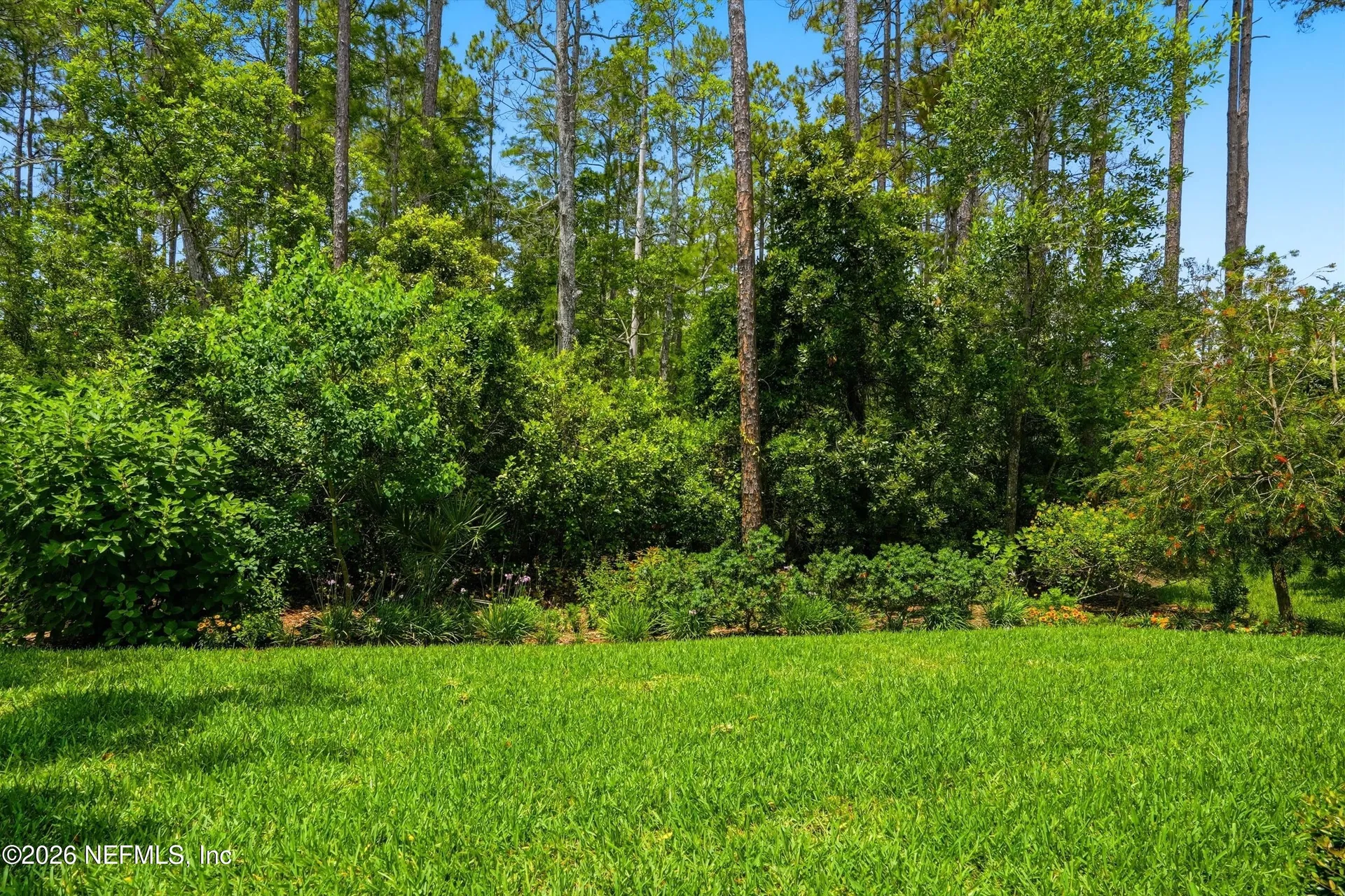 353 Cobbler Trail Jacksonville FL 32256
