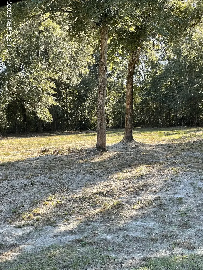 1721 Hagans Ridge Court Green Cove Springs FL 32043