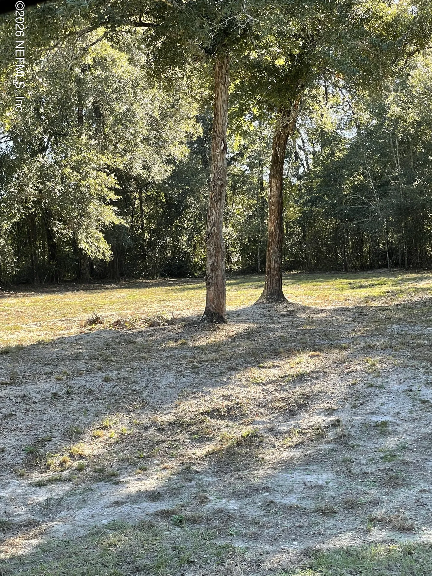1721 Hagans Ridge Court Green Cove Springs FL 32043