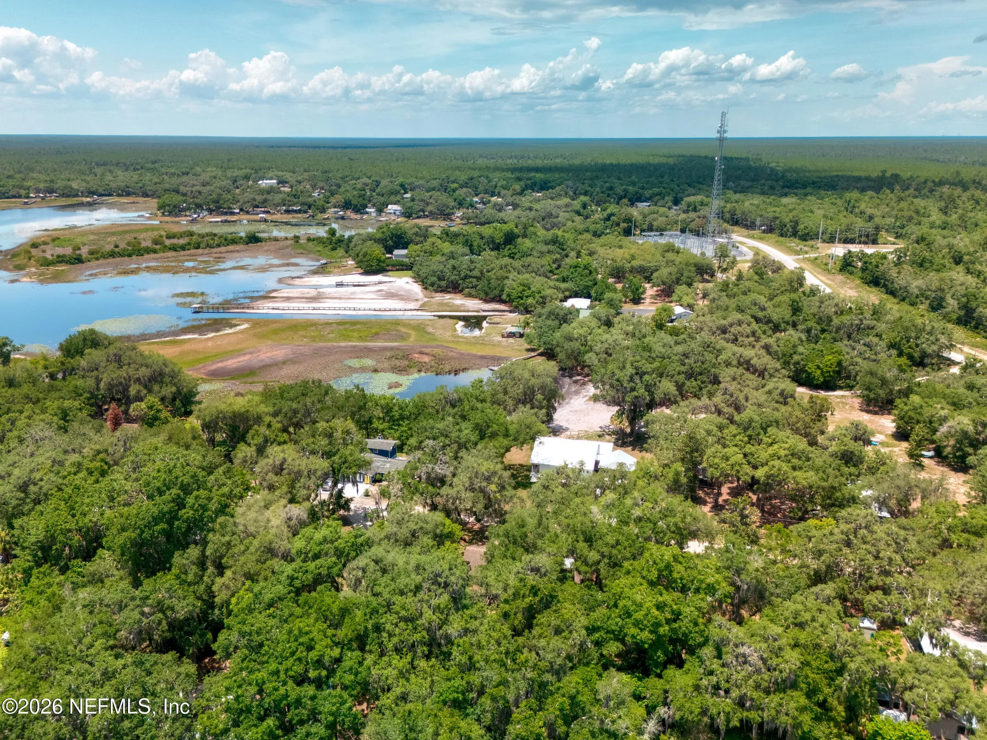 24900 NE 147 Place Salt Springs FL 32134