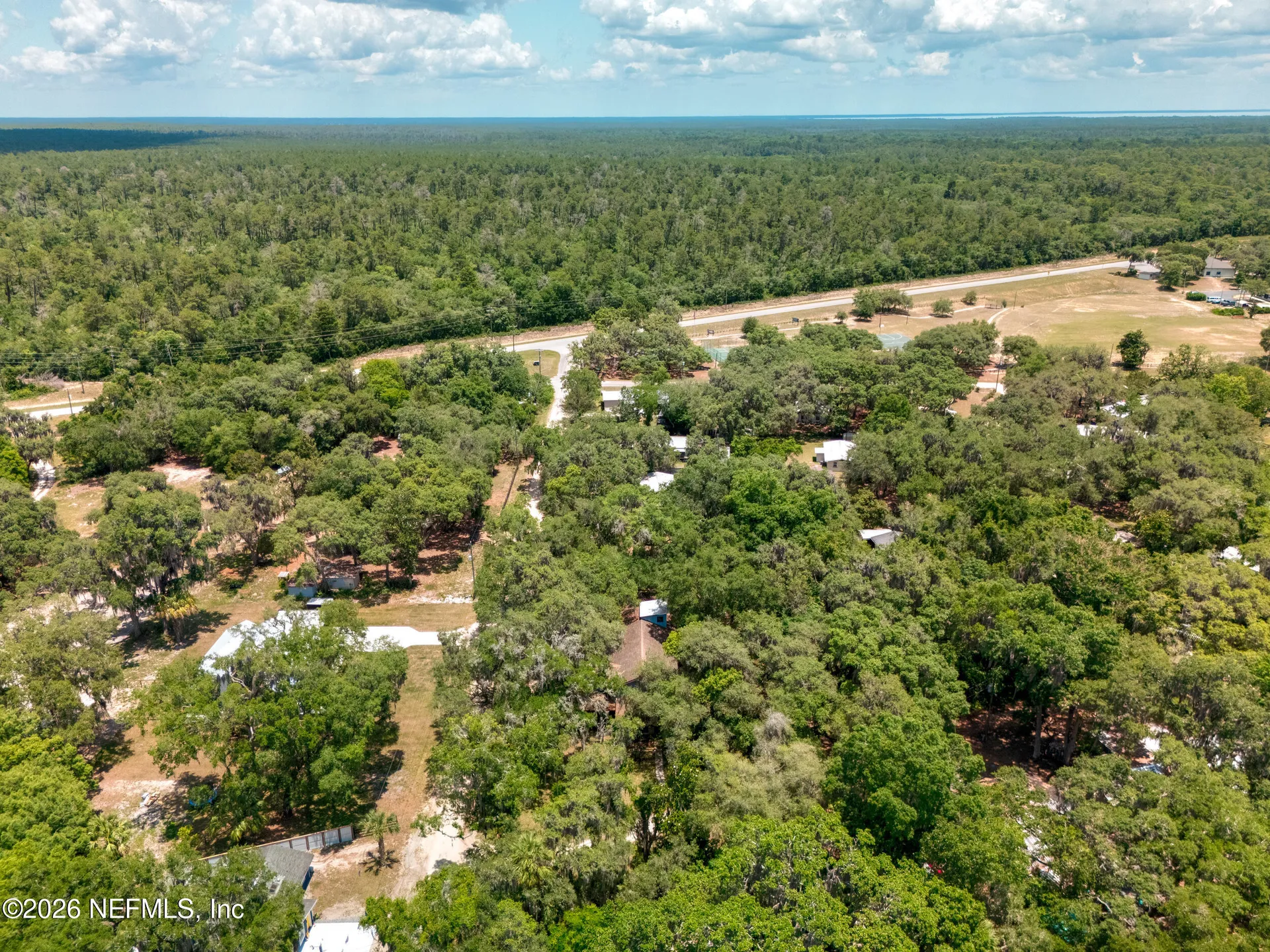 24900 NE 147 Place Salt Springs FL 32134