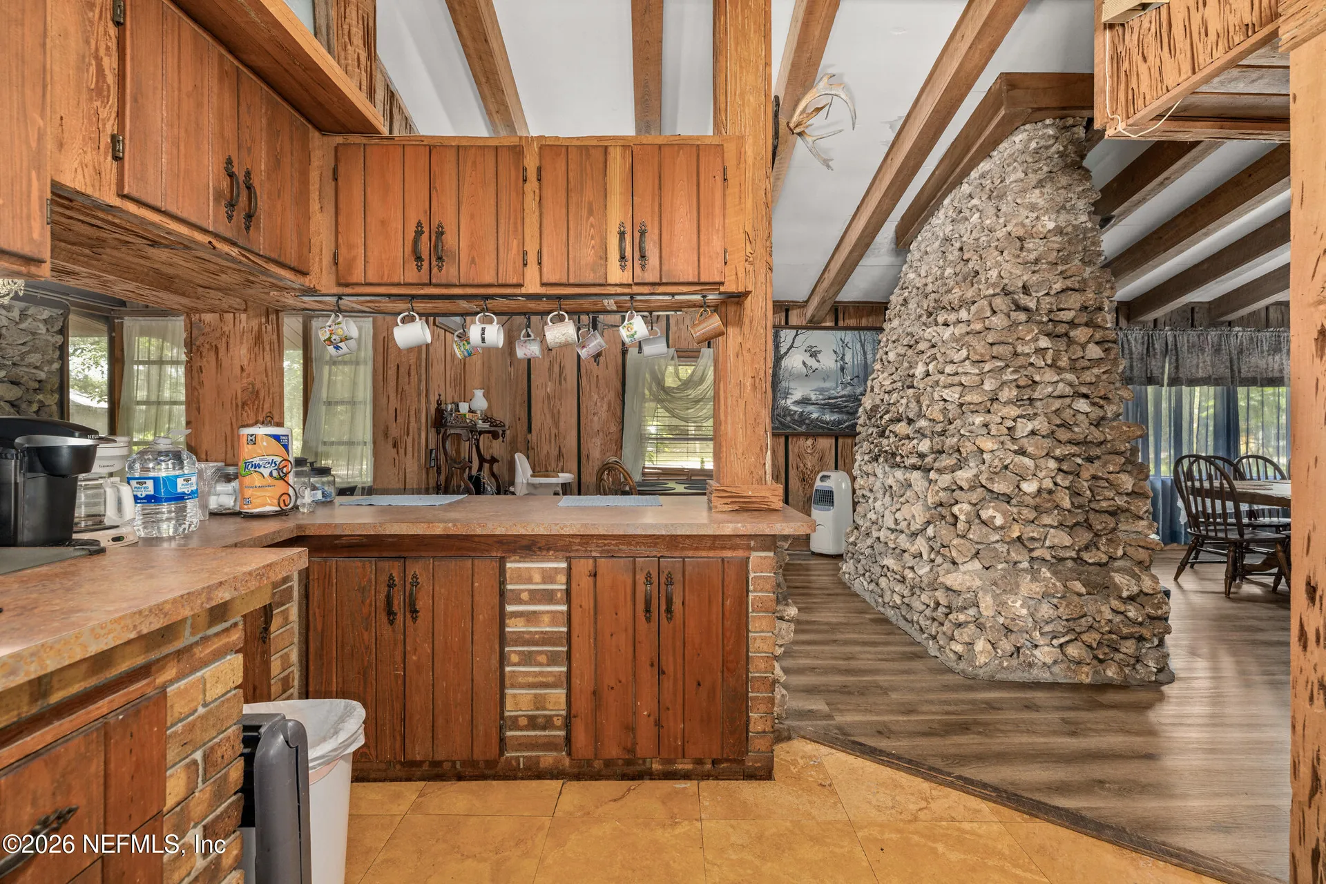 24900 NE 147 Place Salt Springs FL 32134