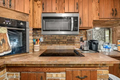24900 NE 147 Place Salt Springs FL 32134