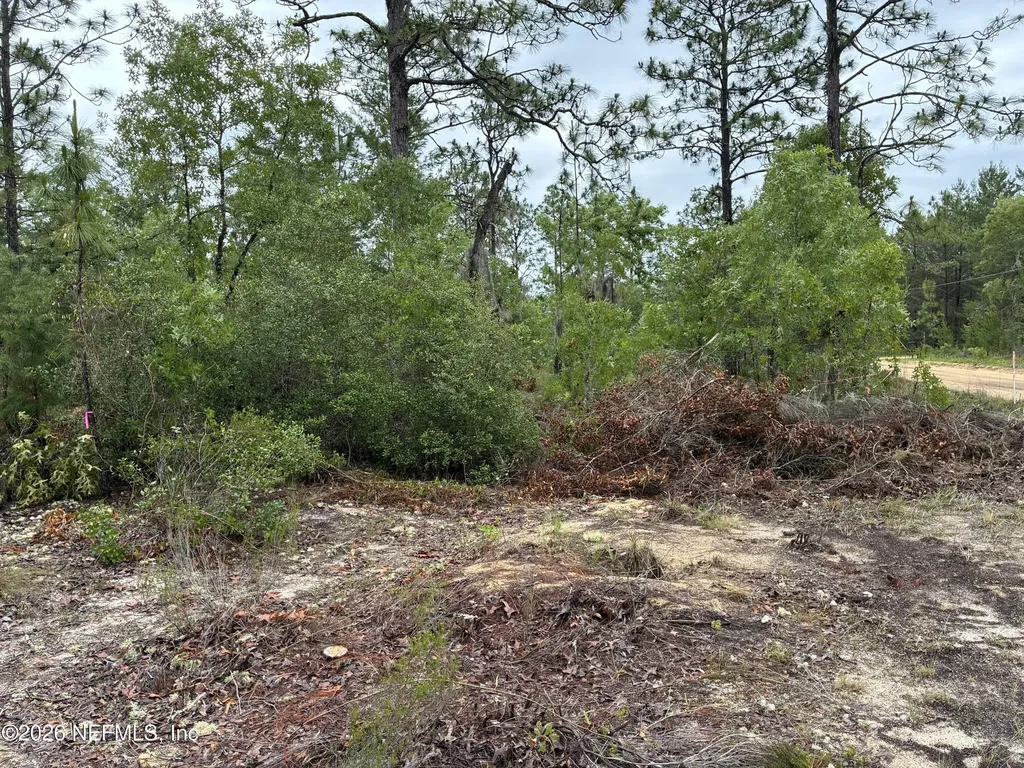 204 Glasgow Street Interlachen FL 32148