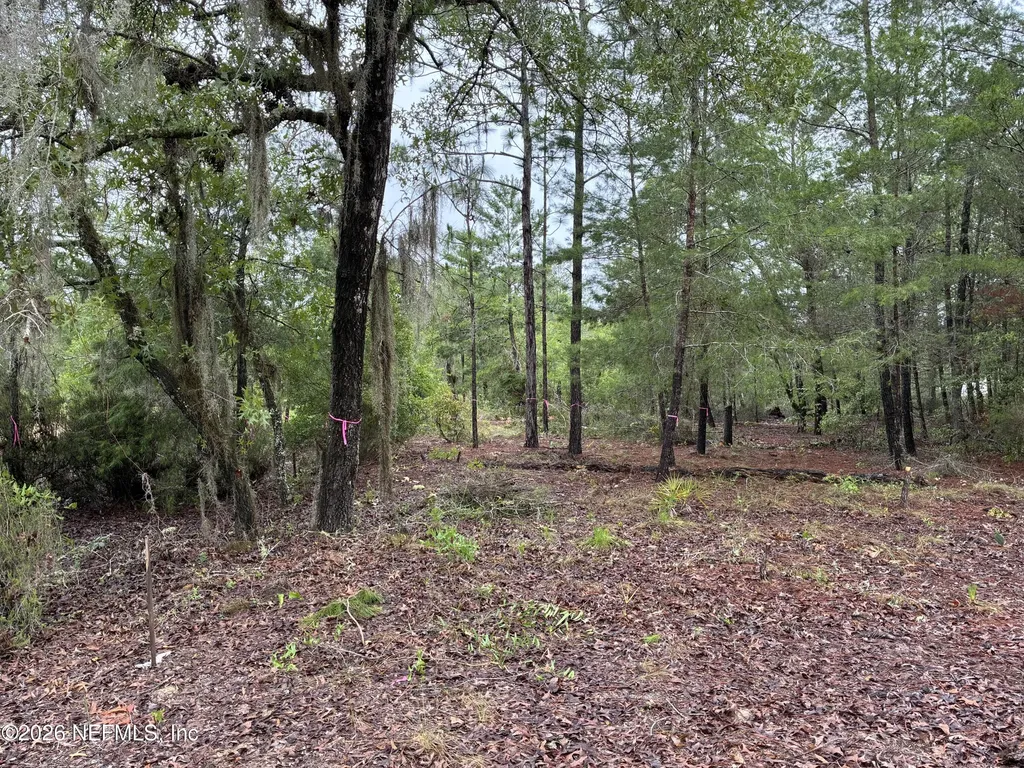 204 Glasgow Street Interlachen FL 32148