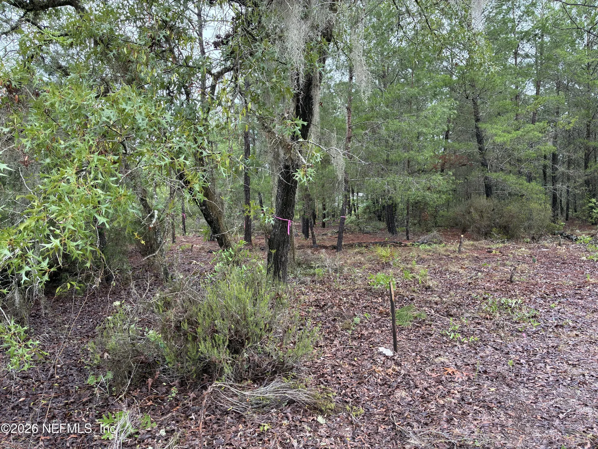 204 Glasgow Street Interlachen FL 32148