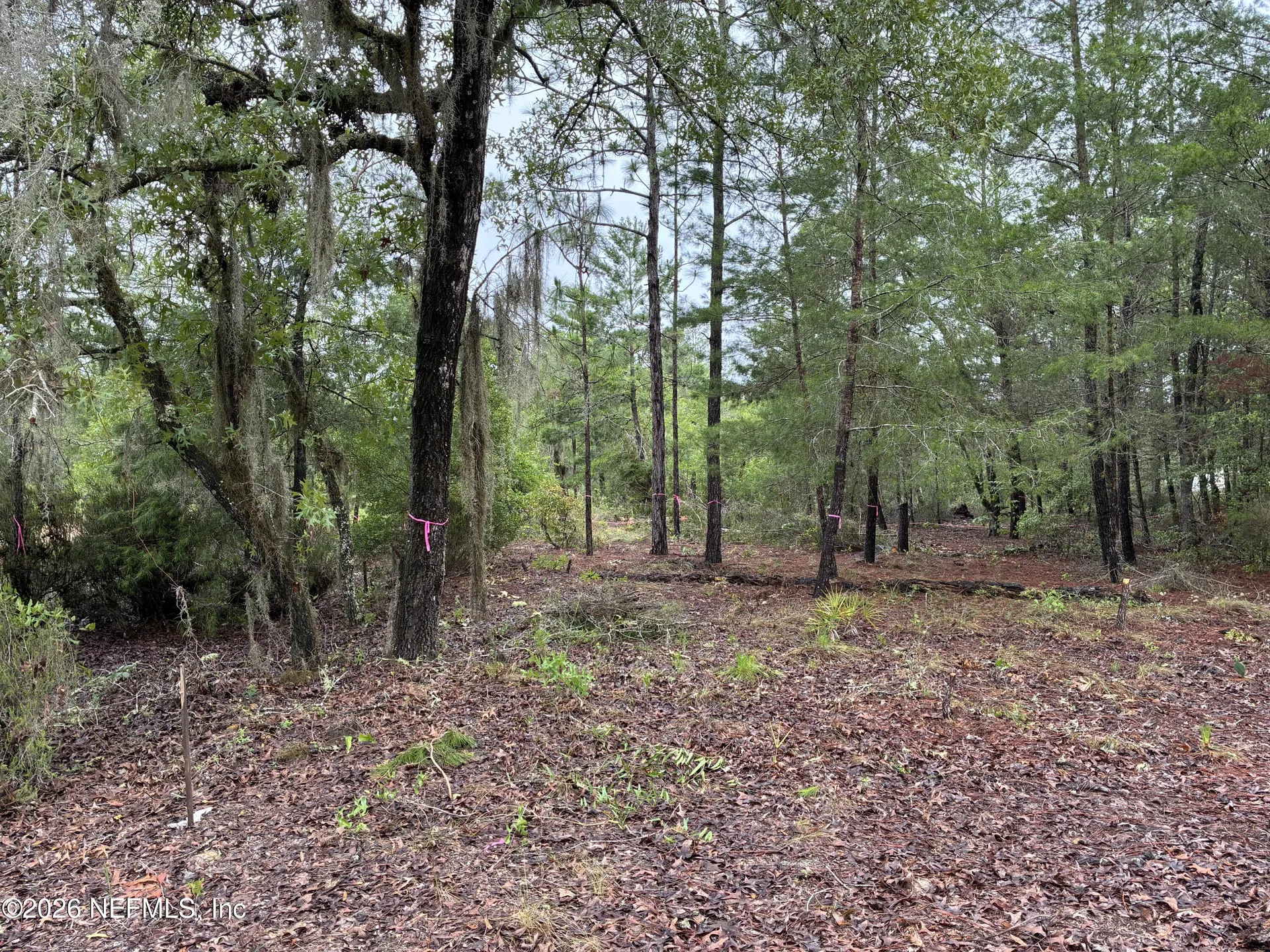 204 Glasgow Street Interlachen FL 32148