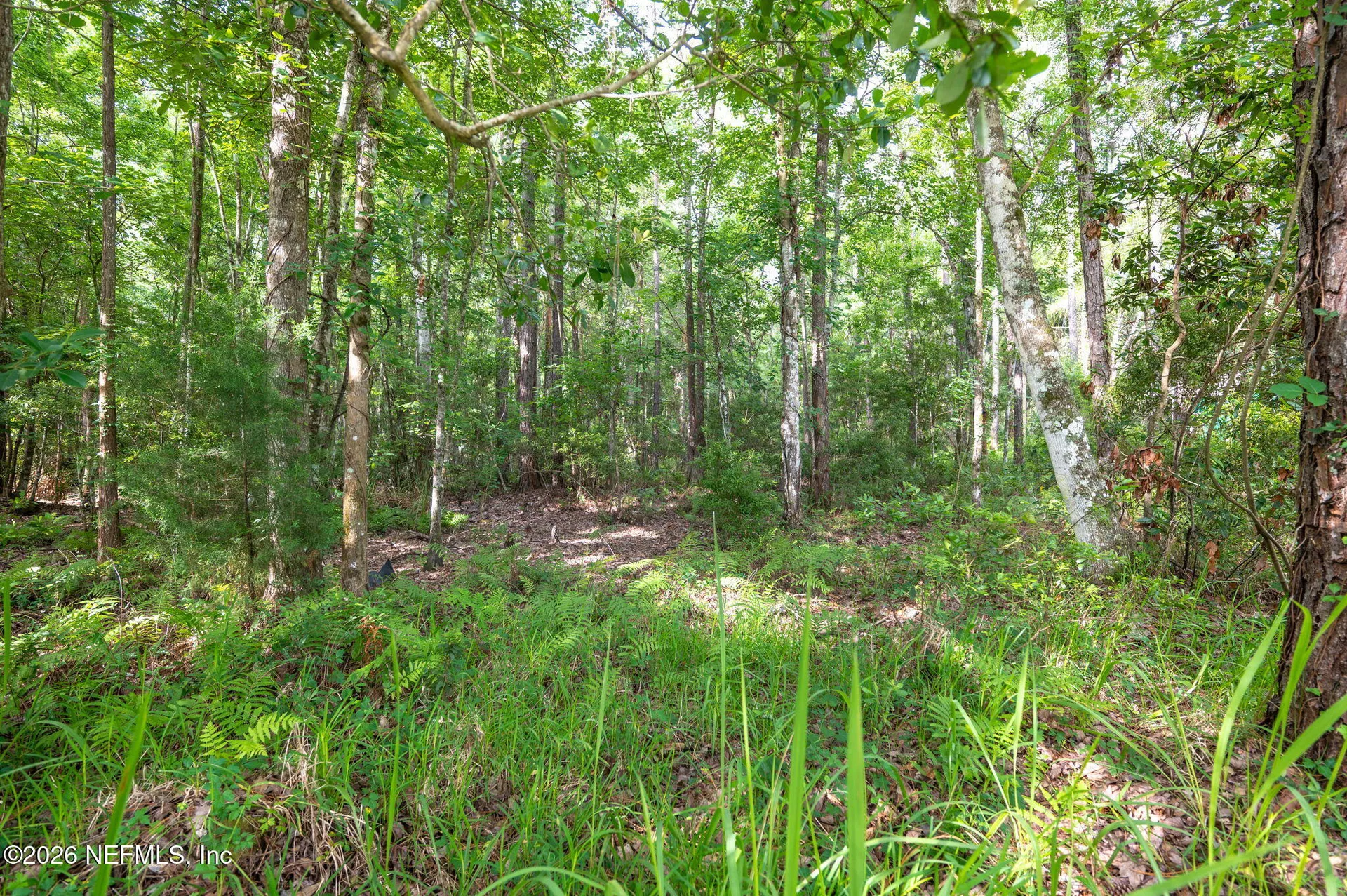 4945 Moultrie Reserve Court St. Augustine FL 32086