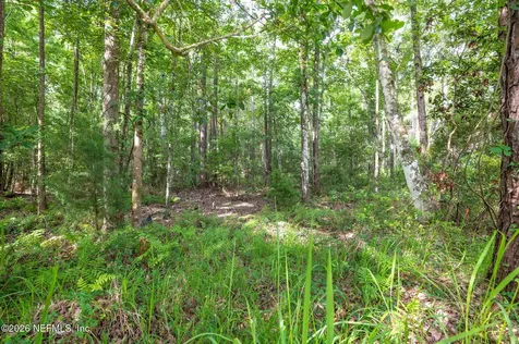 4945 Moultrie Reserve Court St. Augustine FL 32086