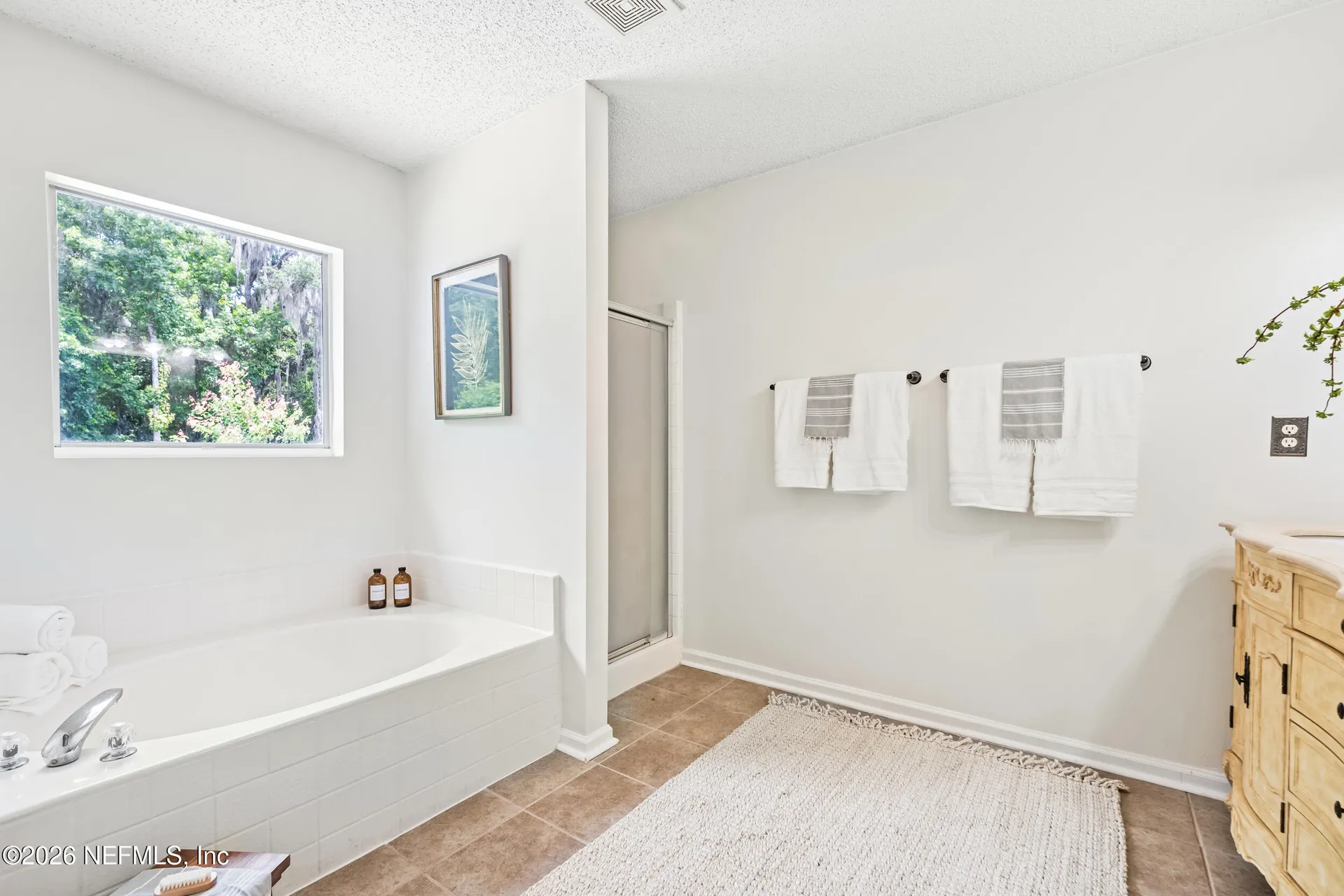 13469 Ashford Wood Court E Jacksonville FL 32218