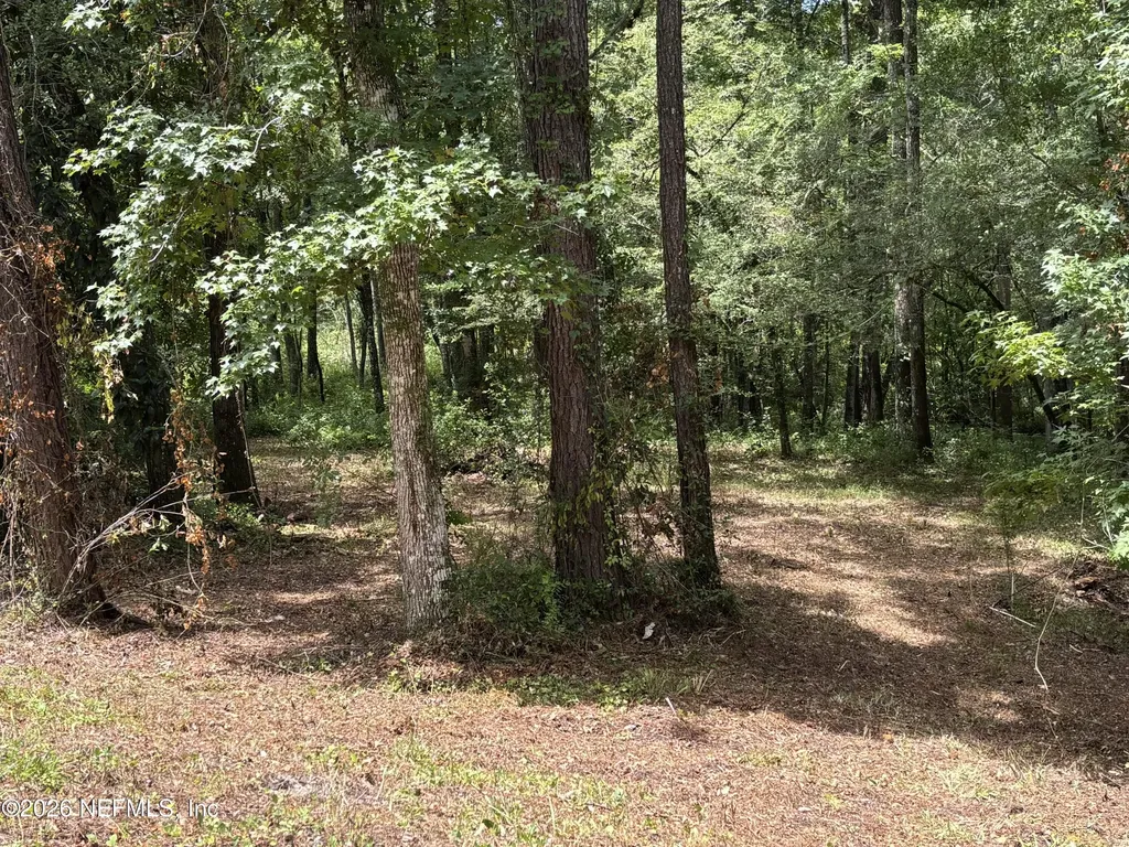 4819 Gopher Circle Middleburg FL 32068