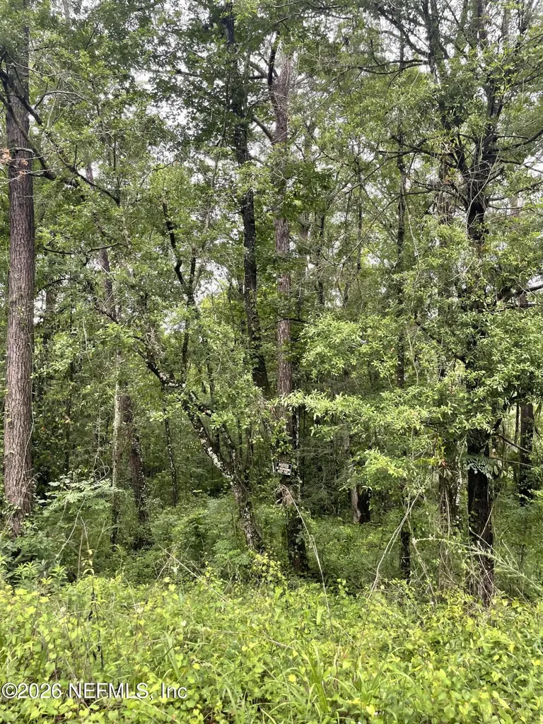4819 Gopher Circle Middleburg FL 32068