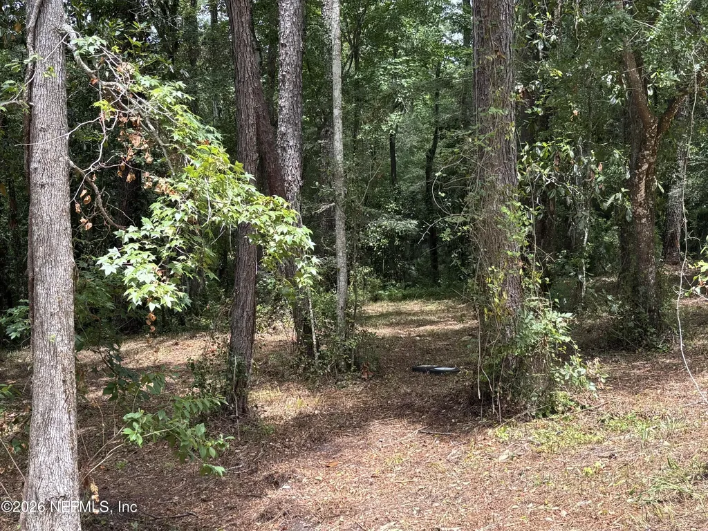 4819 Gopher Circle Middleburg FL 32068