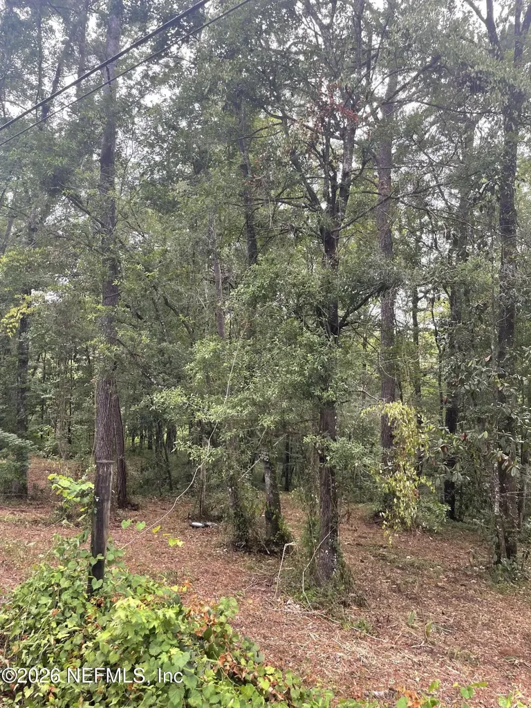 4819 Gopher Circle Middleburg FL 32068