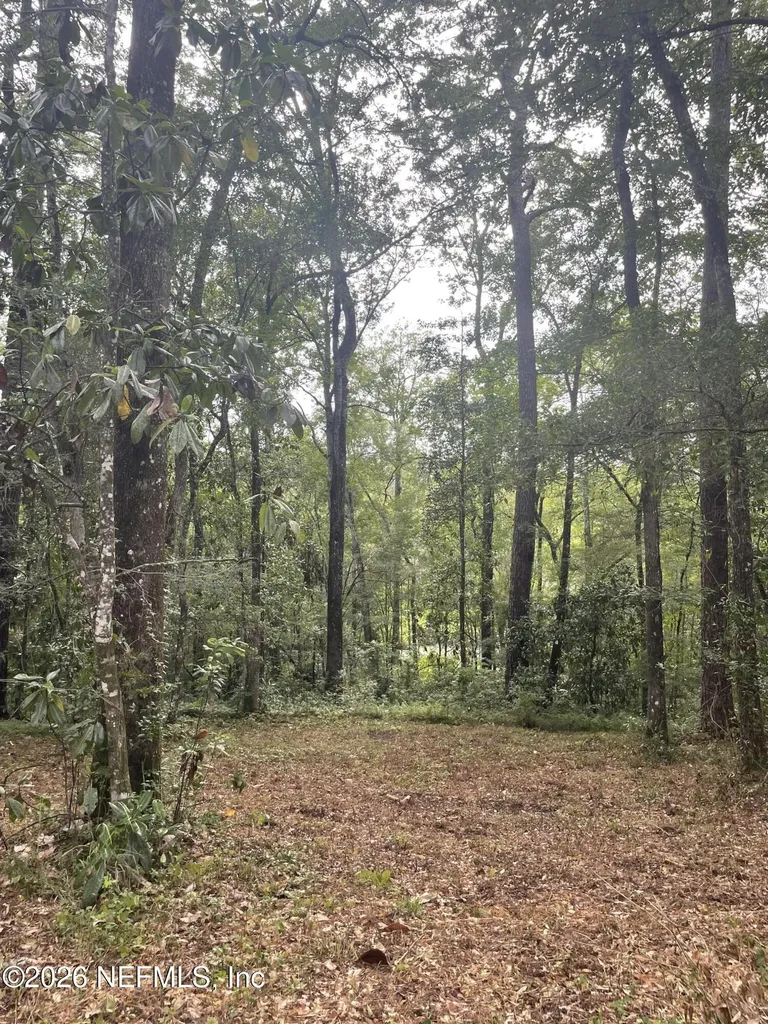 4819 Gopher Circle Middleburg FL 32068