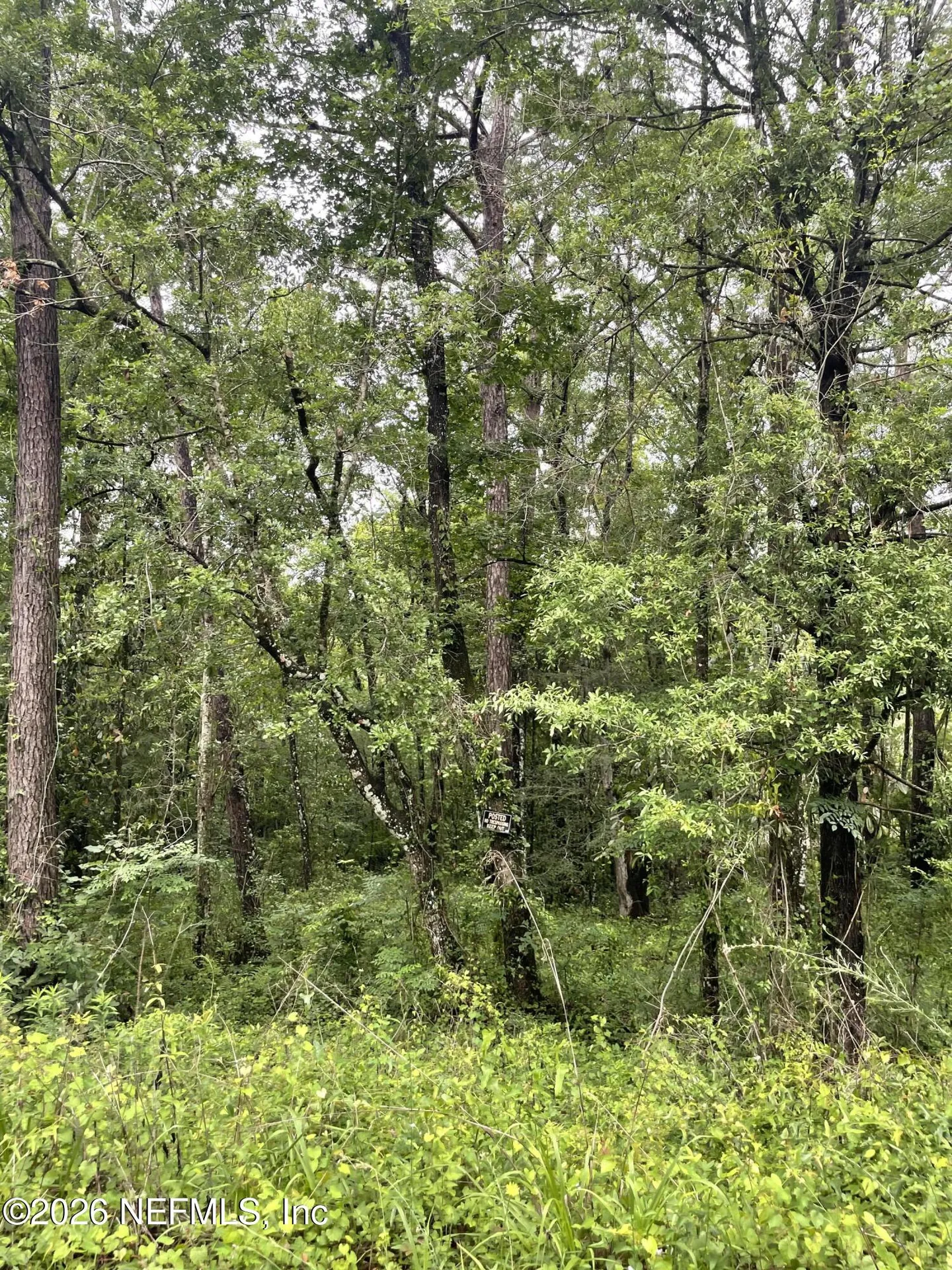 4819 Gopher Circle Middleburg FL 32068