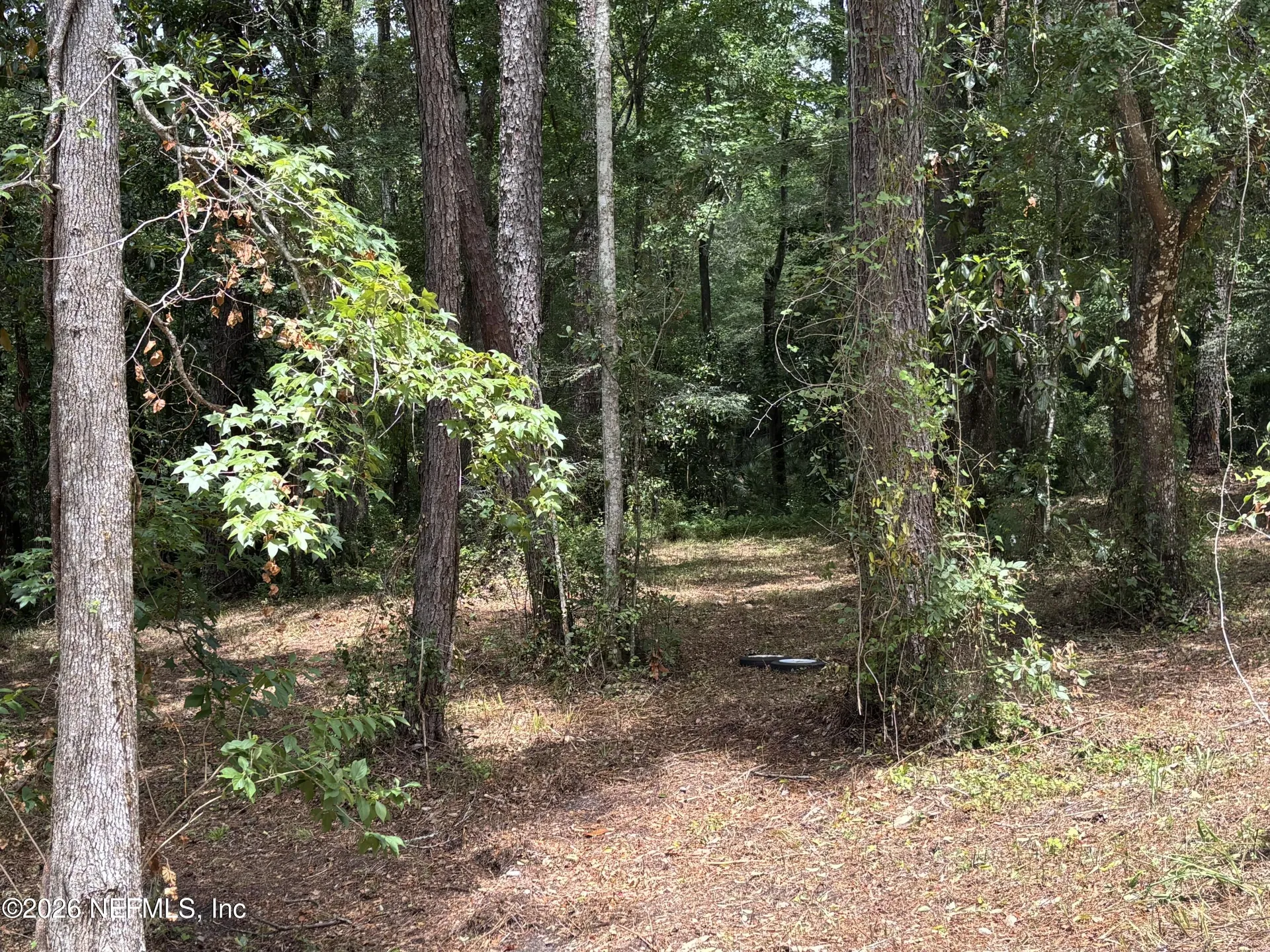 4819 Gopher Circle Middleburg FL 32068
