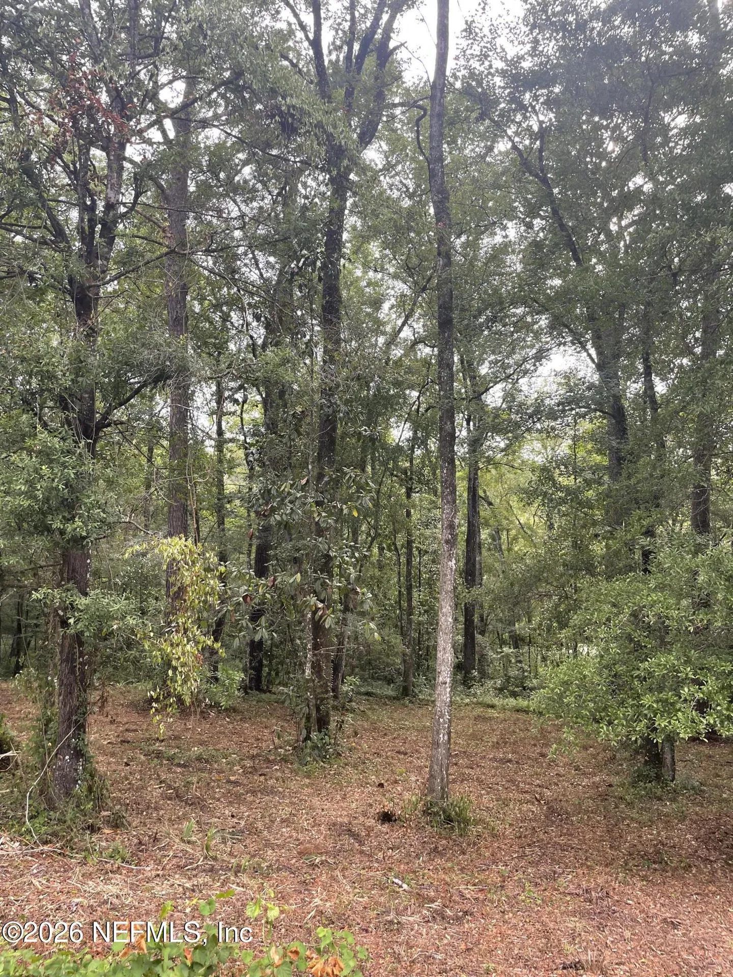 4819 Gopher Circle Middleburg FL 32068