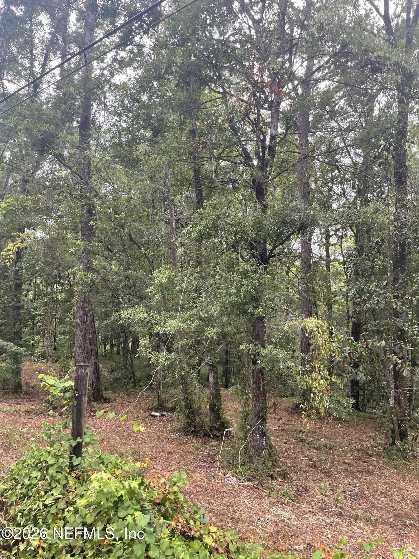 4819 Gopher Circle Middleburg FL 32068