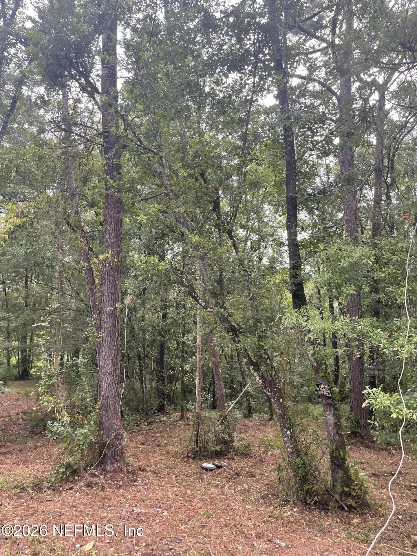 4819 Gopher Circle Middleburg FL 32068