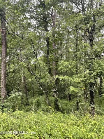 4819 Gopher Circle Middleburg FL 32068