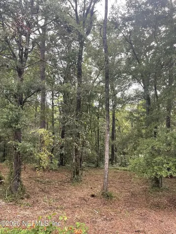 4819 Gopher Circle Middleburg FL 32068