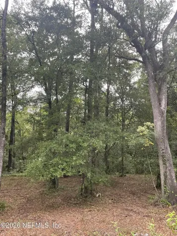 4819 Gopher Circle Middleburg FL 32068