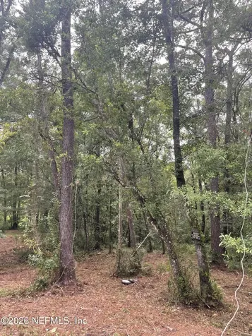 4819 Gopher Circle Middleburg FL 32068