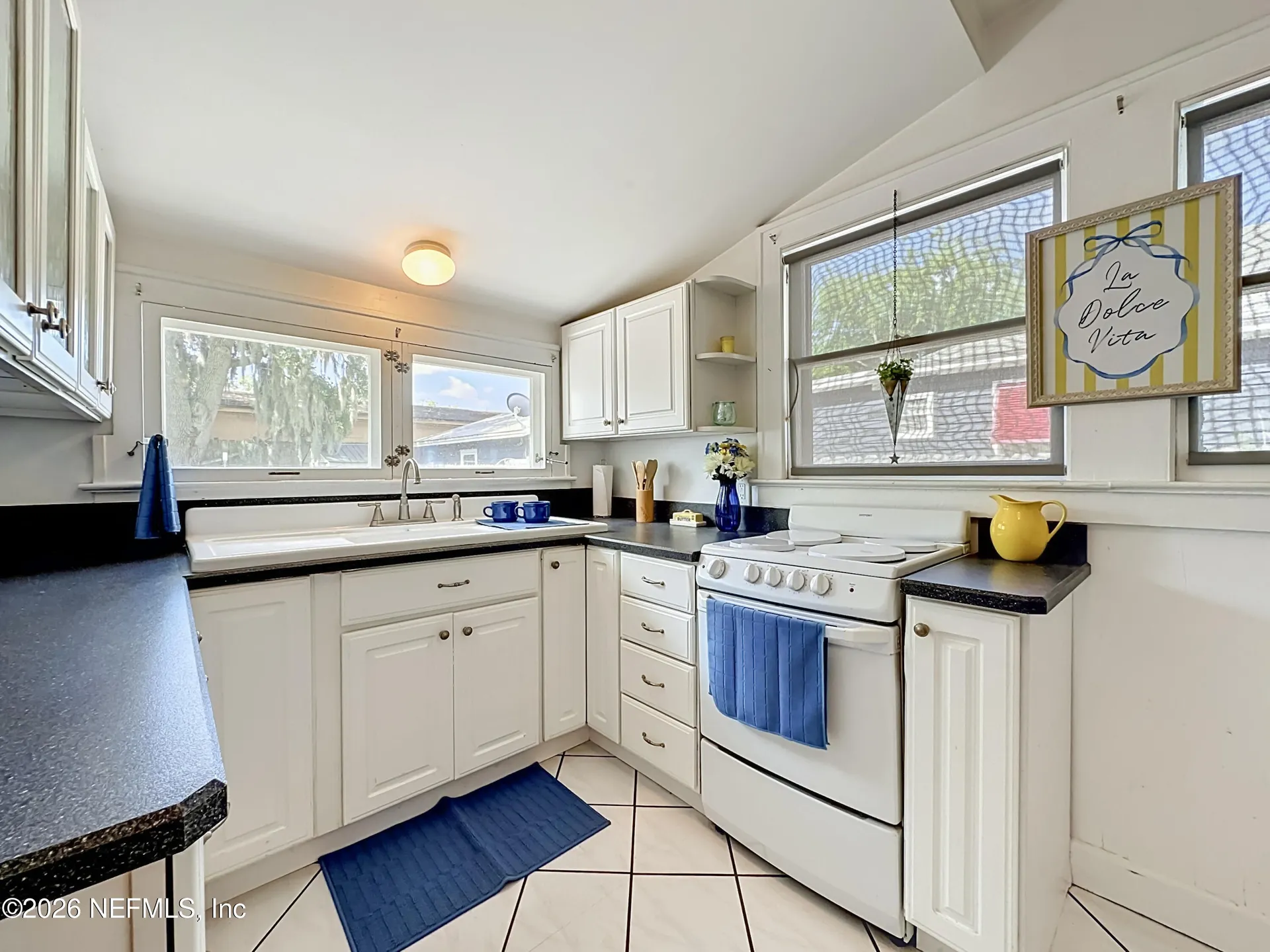 17 Ballard Avenue St. Augustine FL 32084