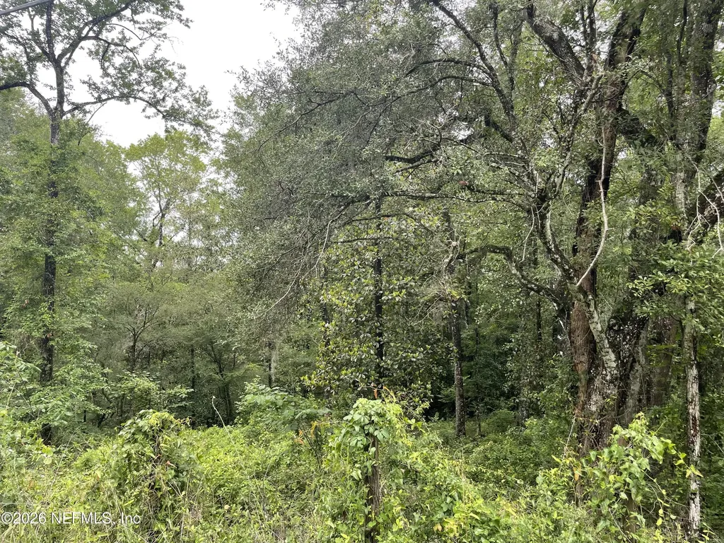 4825 Gopher Circle Middleburg FL 32068