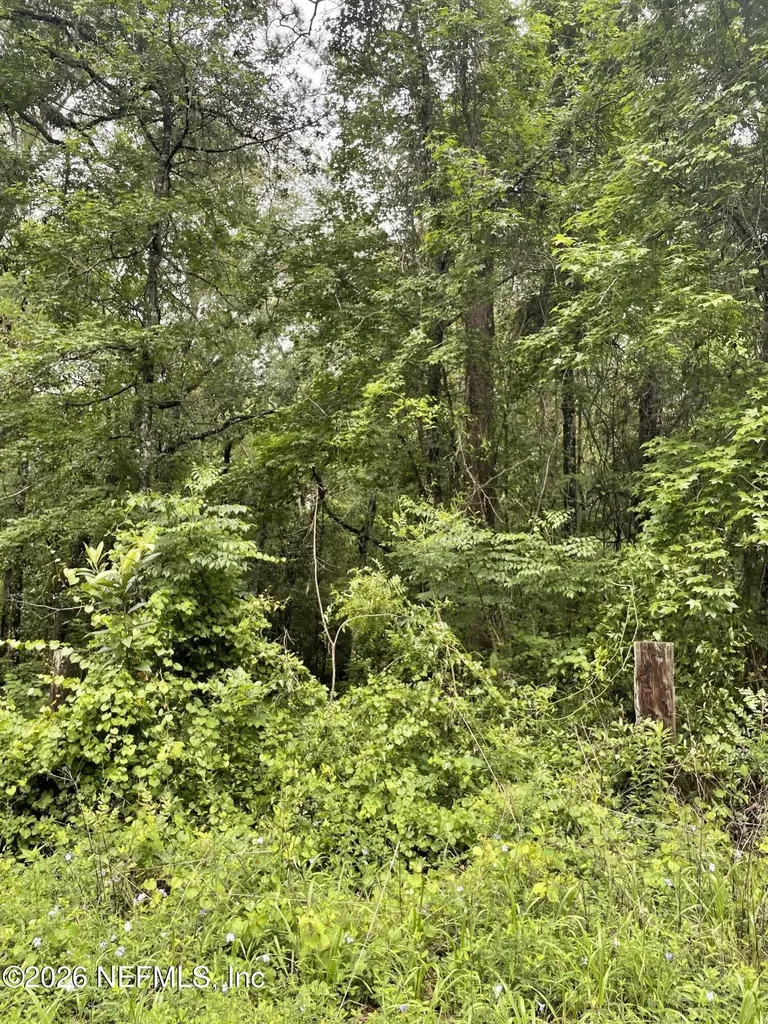 4825 Gopher Circle Middleburg FL 32068