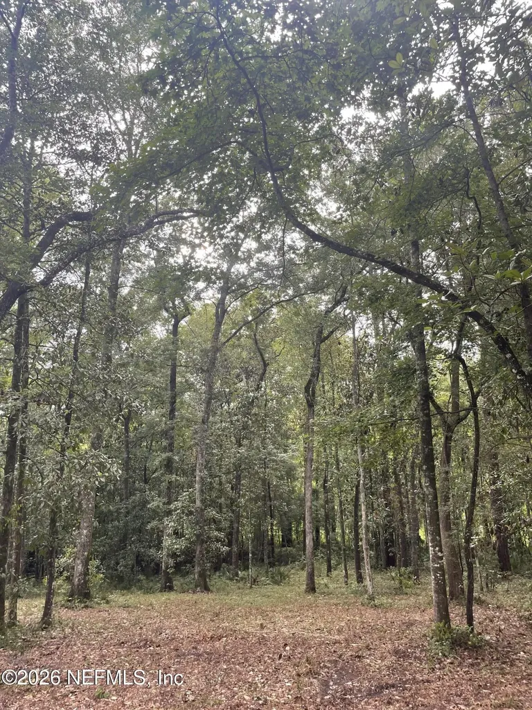 4825 Gopher Circle Middleburg FL 32068