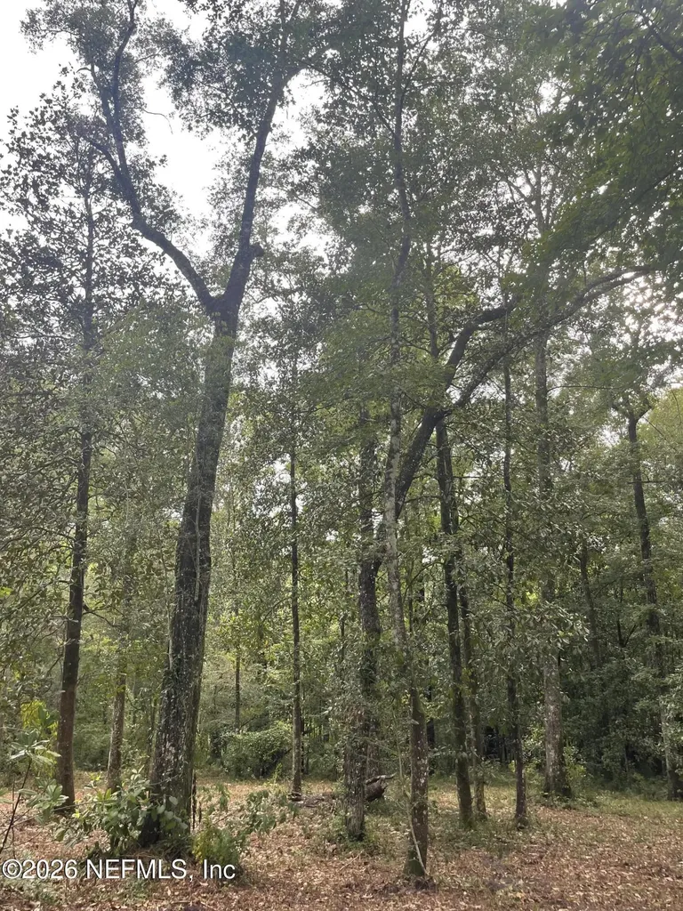 4825 Gopher Circle Middleburg FL 32068