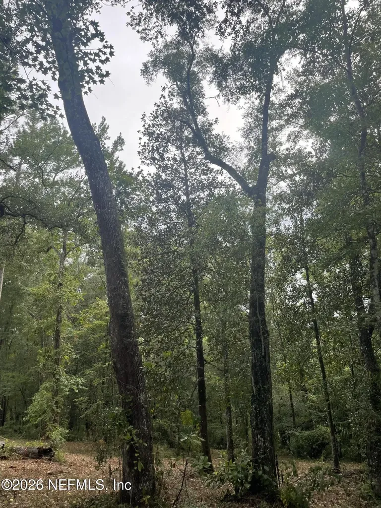 4825 Gopher Circle Middleburg FL 32068