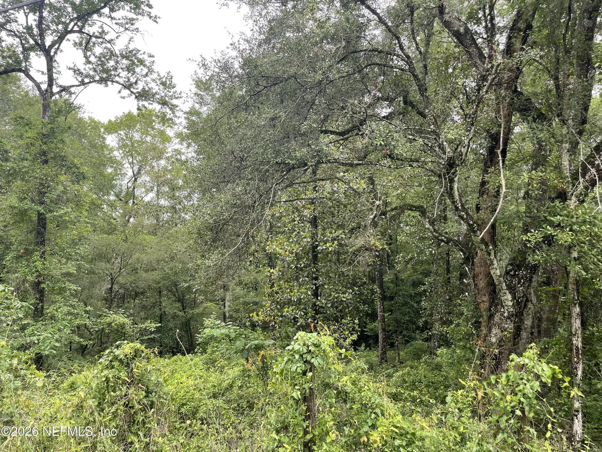 4825 Gopher Circle Middleburg FL 32068