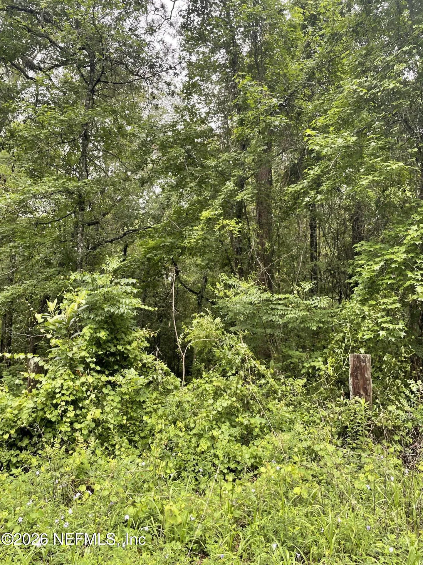 4825 Gopher Circle Middleburg FL 32068
