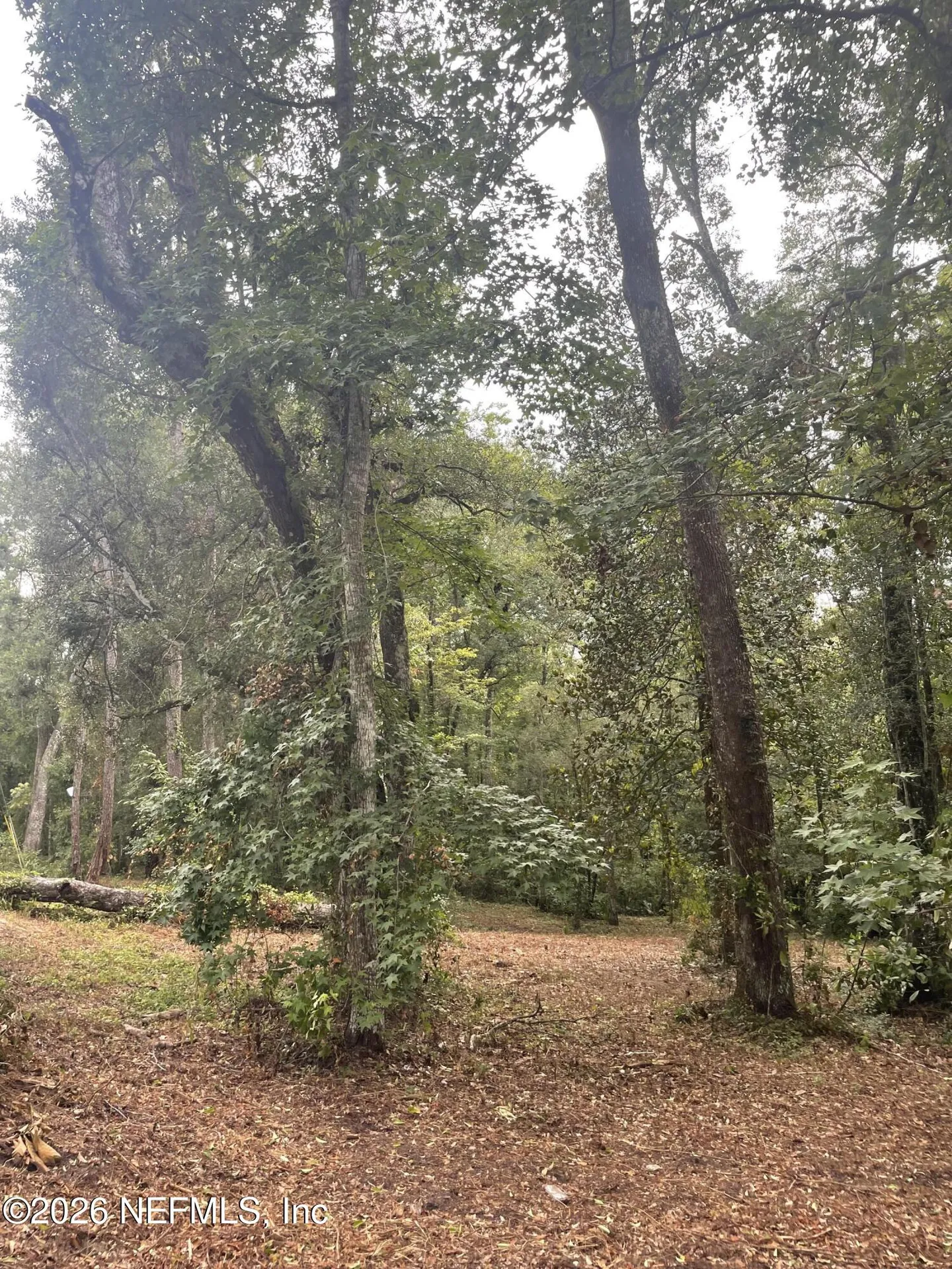 4825 Gopher Circle Middleburg FL 32068
