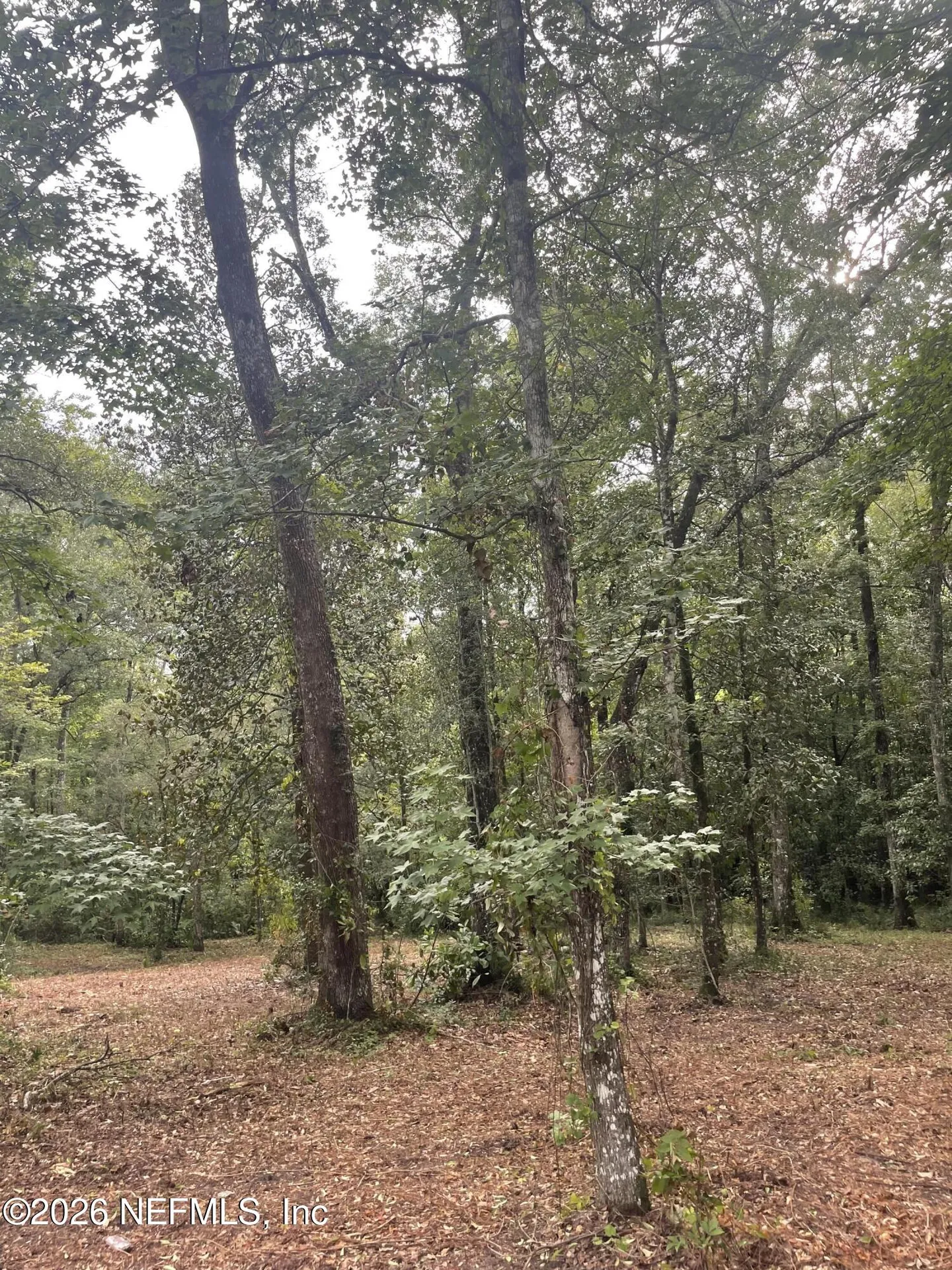 4825 Gopher Circle Middleburg FL 32068